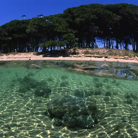 Solmido Apartment Alghero